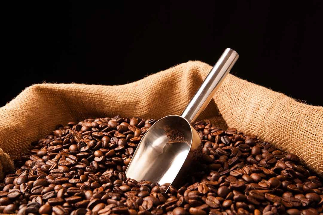 Emballage de grains de caf&eacute; de luxe personnalis&eacute;, pack vari&eacute; de dosettes de caf&eacute; africaines, solutions d'emballage de caf&eacute; innovantes.